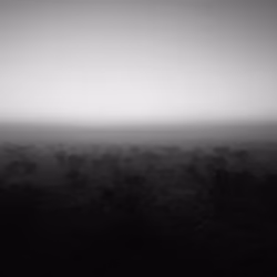 0012//Not Corral Reef