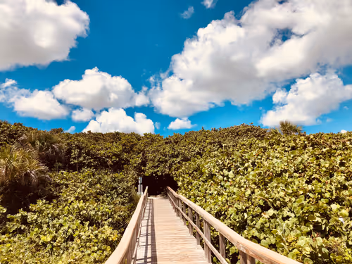 Item #113878984916961174745364683224813624394039454601002665146284580035247640412161 Media