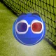 17381155223737165740231957432457285129729499413233366433853407512076696420353