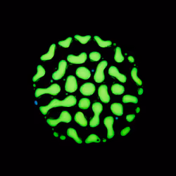 Haematopoiesis #39