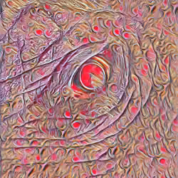 The eye_#007