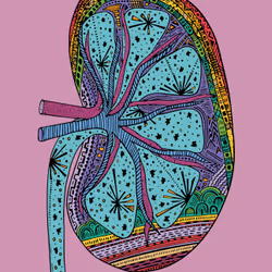 28824502245252267217549902857601847351510039266873569823091148504276528005121