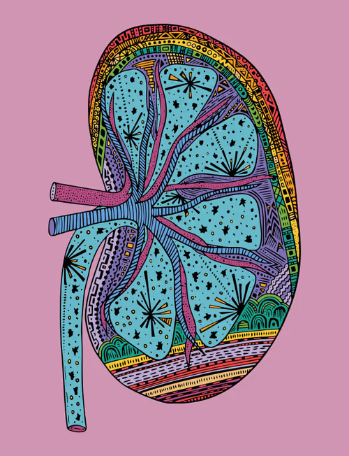 Item #28824502245252267217549902857601847351510039266873569823091148504276528005121 Media