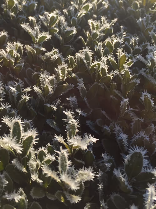 Item #101798116254510798330486236990451841615541533753866395116378150734494949179393 Media