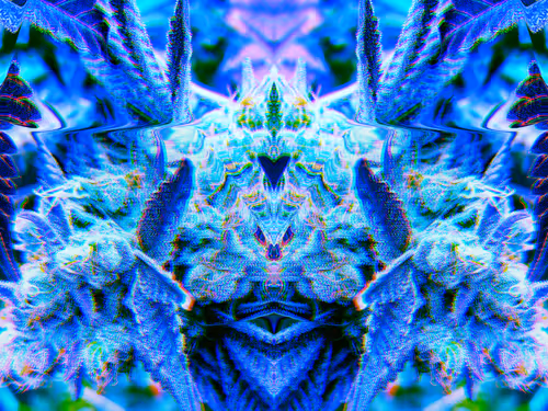 Item #83970981387443879143921485150900069530799783516997234463864977563374611070977 Media