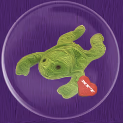 41776025324002017952572422073316458441069080831023694546850787114502896746497