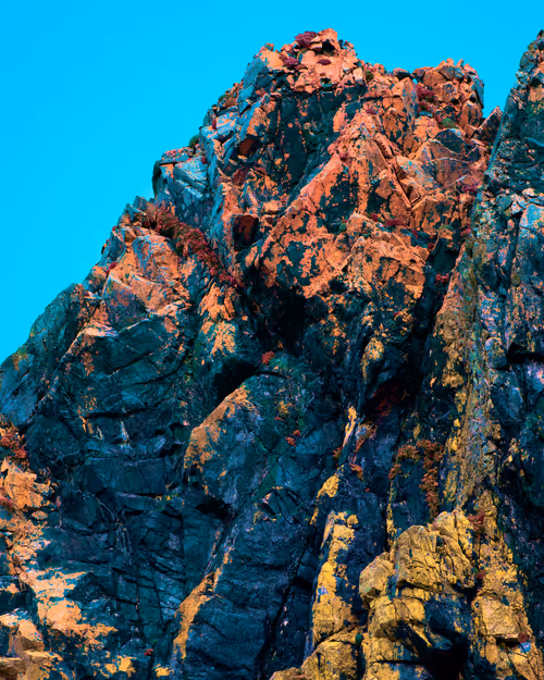 Item #60159483493632401333045796468975237481349859930620464004272301092422291554305 Media