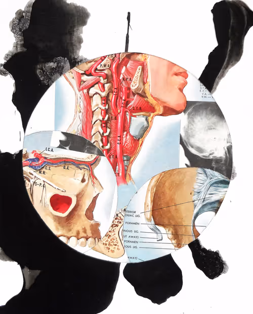 Item #35041902778173331559680500540735012093335203387204658820110218347837447471105 Media