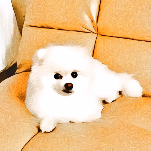 Item #46460775449334421216316860740668723509771506754498136768887223827366454231041 Media