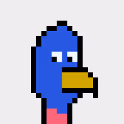 BitBird 8