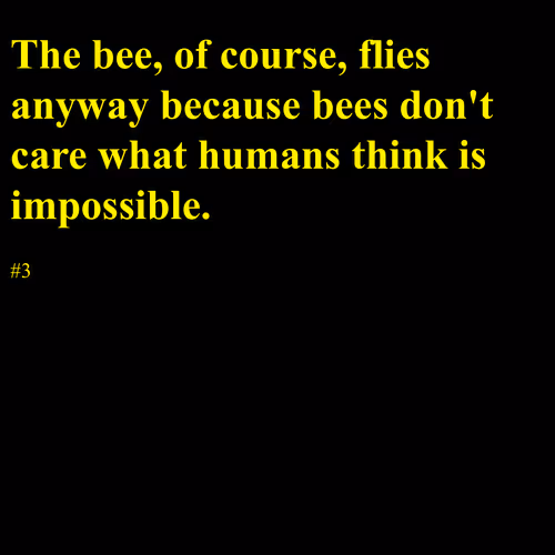 Item #40661491291090335685089867050782939135194500818897442450155946755441960157185 Media