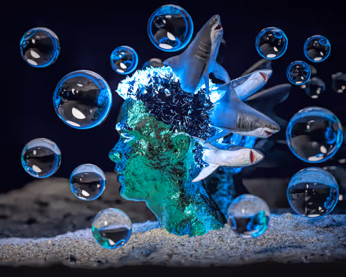 Item #25268332393812692660975676637662703943045066899124411616705996315433761767425 Media