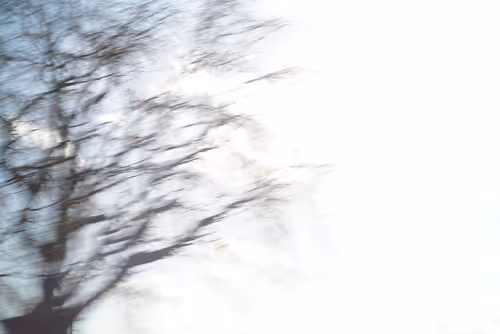 Item #70208692216166007409551313352686246739486859339551746312653787888486507872257 Media