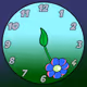 11th Hour Flower: 11:25