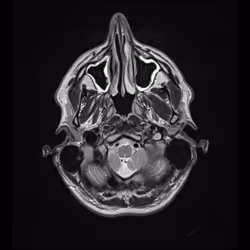 64162533542198579898252916190583583845604629893829087458582975601756482830337