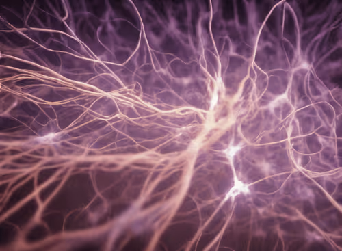 Item #98695163844141812296559601516468632585703412525772017875852753326433577730049 Media