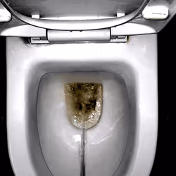 12660136923828748263426703316480839463053827608546839420335324155953272586241