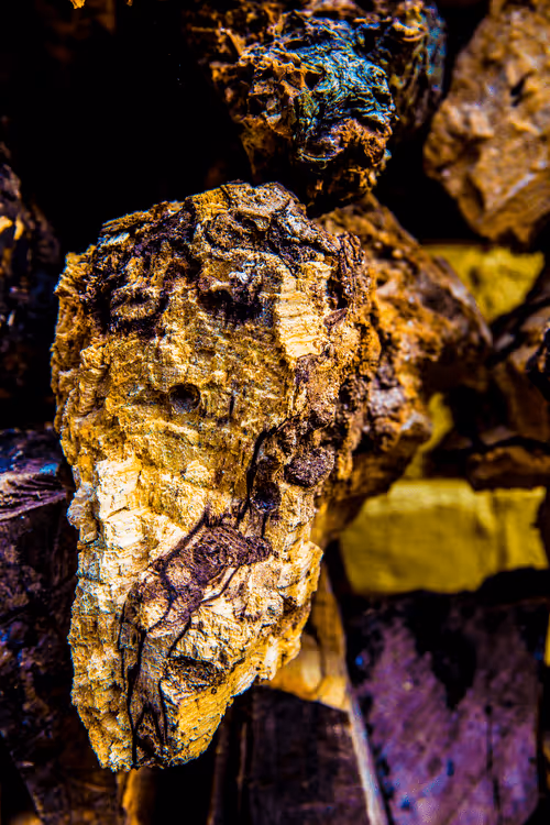 Item #40632996133042654692589824603650500763499961417471040253403769842471813513236 Media