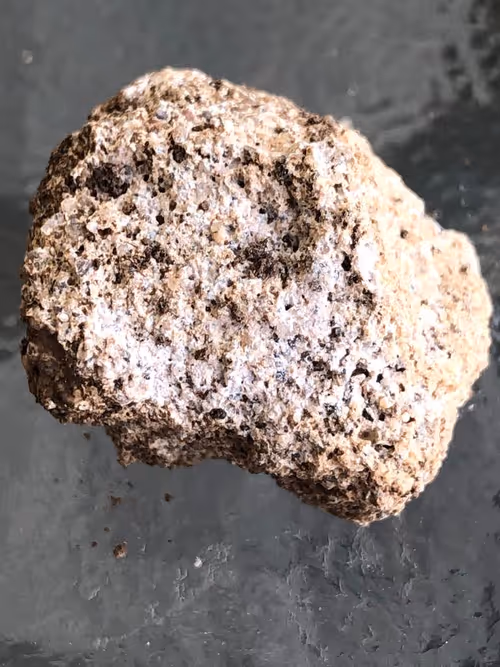 Item #77596567191873610386222770782979105496131821619003157492872805555719890796545 Media