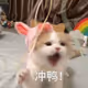 sss37