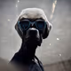 Dogliens Starz