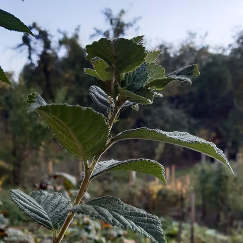 69595591686022838800691822466020520100723003748053554392740615602368946372609