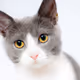 test - 7Q8HYtIRgL