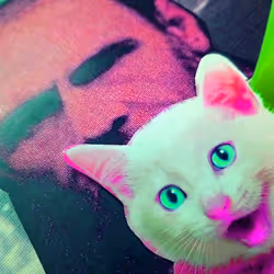 4747115153065902387790593868107453782499677024781155622119190029084334751745