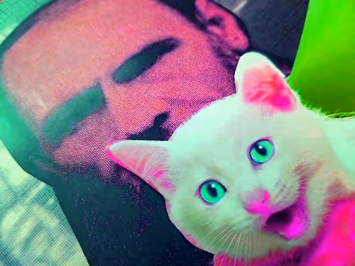 Item #4747115153065902387790593868107453782499677024781155622119190029084334751745 Media