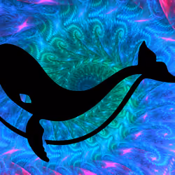 Trippy Orca