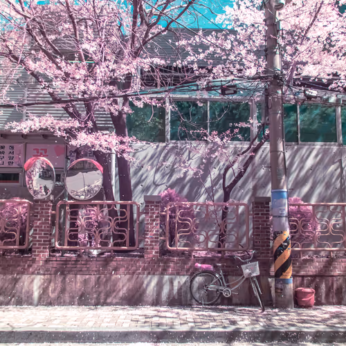 51038767389134457626930617169090287934471579480777975785156342575507871629313