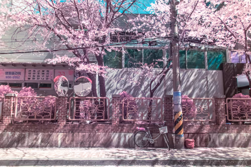 Item #51038767389134457626930617169090287934471579480777975785156342575507871629313 Media