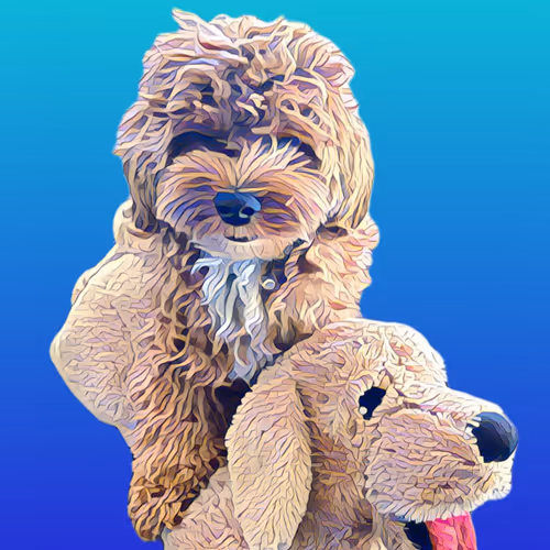 Metaversemaltipoo