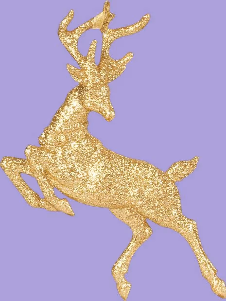 Item #81782205041601098620493693111202976409833722435603250912437964257497161138177 Media