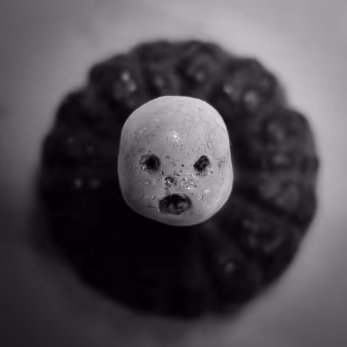 Item #81941951860752634106901471197417024290092758316206591328720189762614195126273 Media