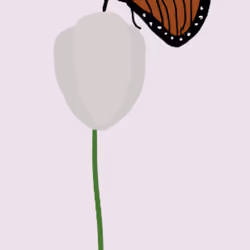 Monarch