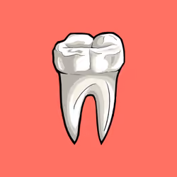 Molar #1