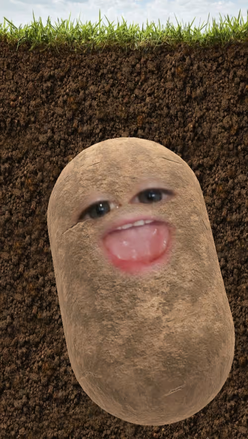 Item #95808636067490604325610161053917644811639306417614030782320888364838542114817 Media