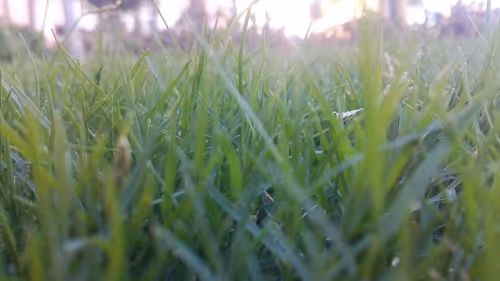 Item #25206245284134753676130577647515477481428319089744618938676699785039250980865 Media