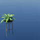 Untitled Collection #168717441