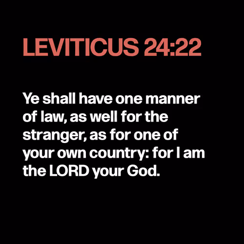 Item #22053356606985035317572807567829034573317121579682343289603637184541254221825 Media