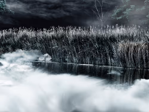 Item #9224774212819895125151329227558105848746737413000858823627967940894423777281 Media