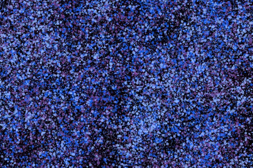 Item #944858660688572096584618472555991747686703840338442188877309796273570709505 Media