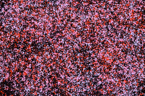 Item #944858660688572096584618472555991747686703840338442188877309676426803281921 Media