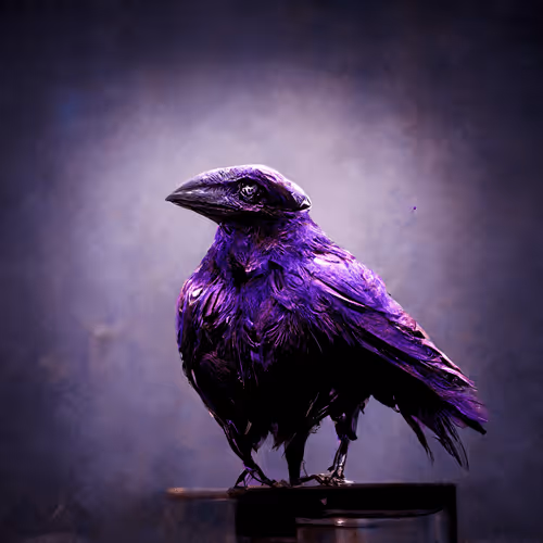 Item #86171569970125558990983744340943865121213459502276989599456952583035608367105 Media