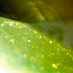 71646257518770613568983710813551014237803002136866425209291834501283098656769