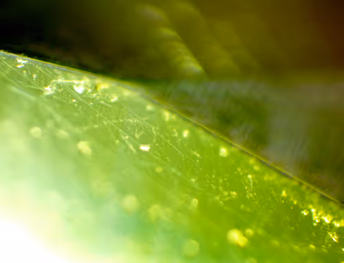 Item #71646257518770613568983710813551014237803002136866425209291834501283098656769 Media