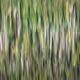 81441334517361708208394031135700195474624799851237506988747107978791853490177