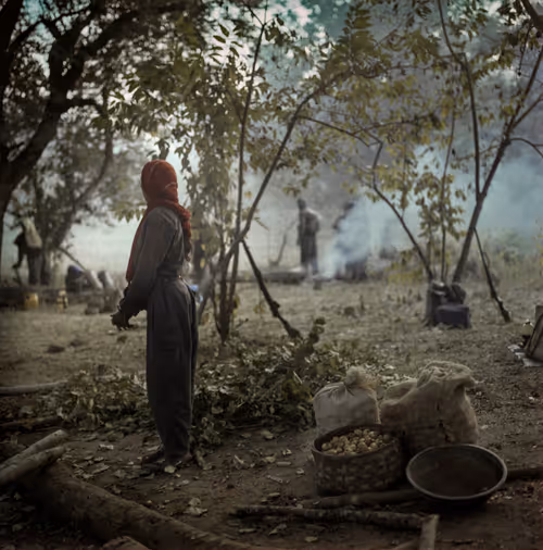 Item #80141737210111839928667523403933295145384279437019335330195524797270874652673 Media