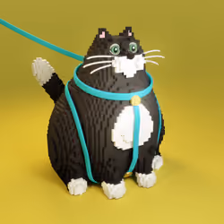 Cat #9